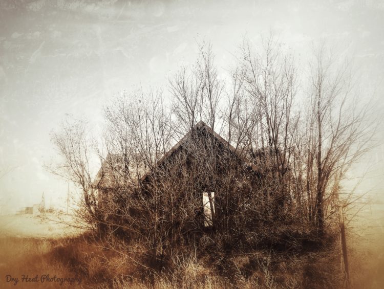 Stanley, New Mexico is mostly ranches and one cluster of abandoned houses.