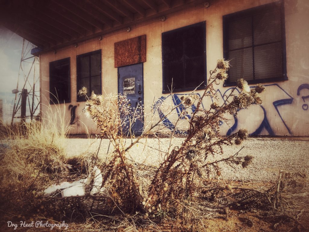 Maybelle's Diner is actually the Wild Horse Mesa Bar