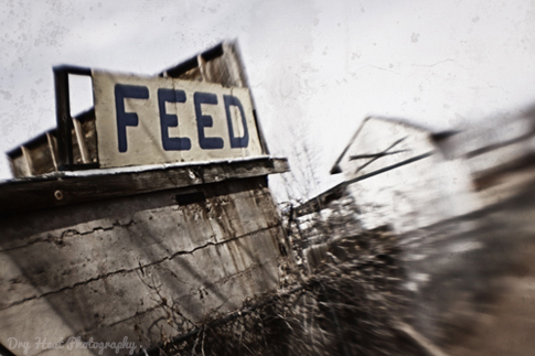 Abandoned feed store in the Route 66 town of Ashfork, Arizona.