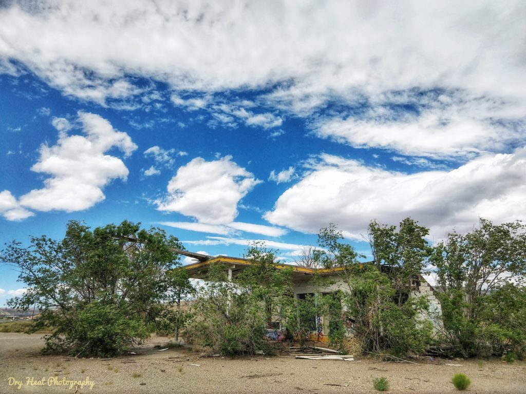 Wild trees have surrounded the abandoned Whiting Bros Gas Station on Route 66 near Grants, New Mexico.