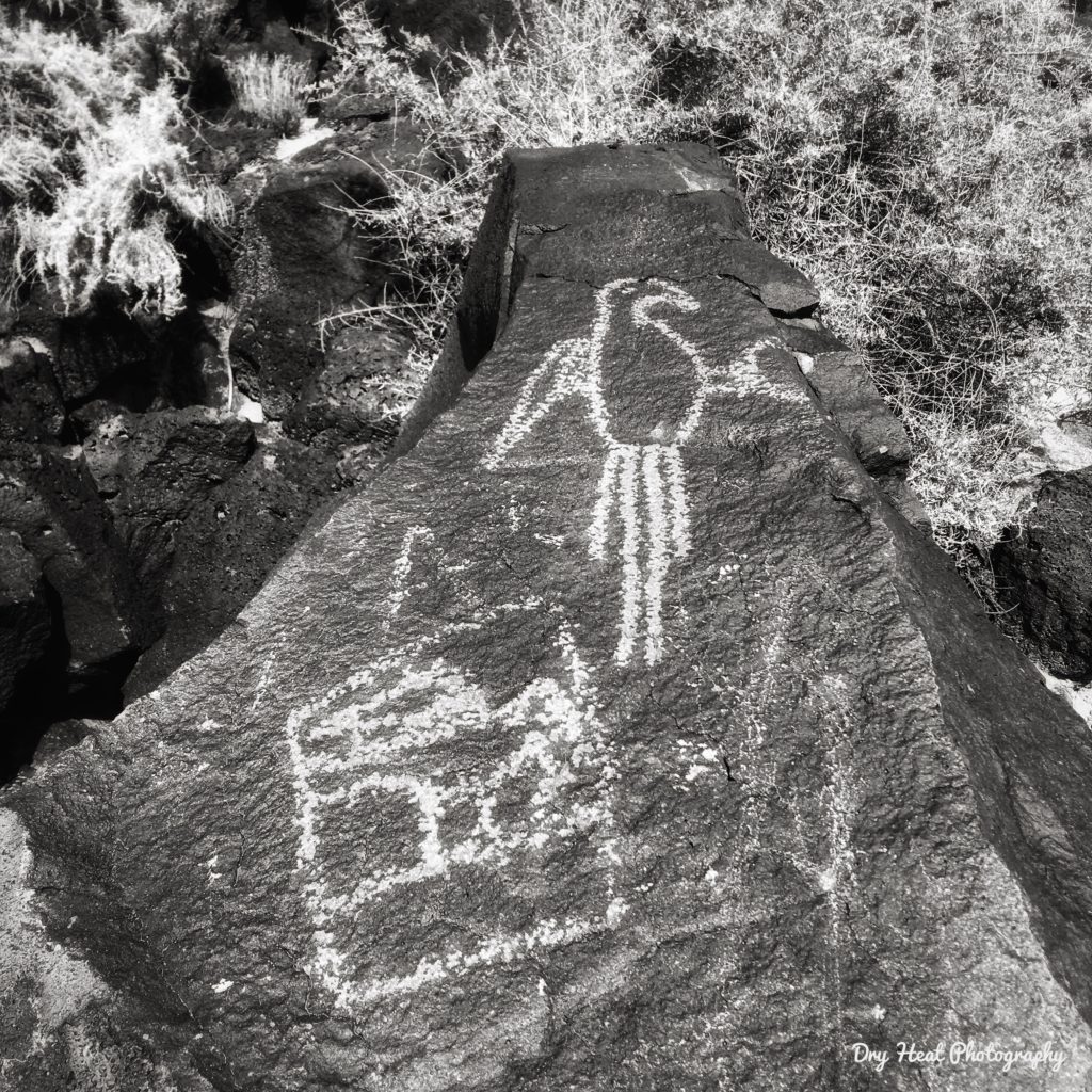 Boca Negra Canyon is part of Petroglyph National Monument in Albuquerque, New Mexico. Most of these ancient rock drawings were created between 400 - 700 years ago though some of them are over 1000 years old.