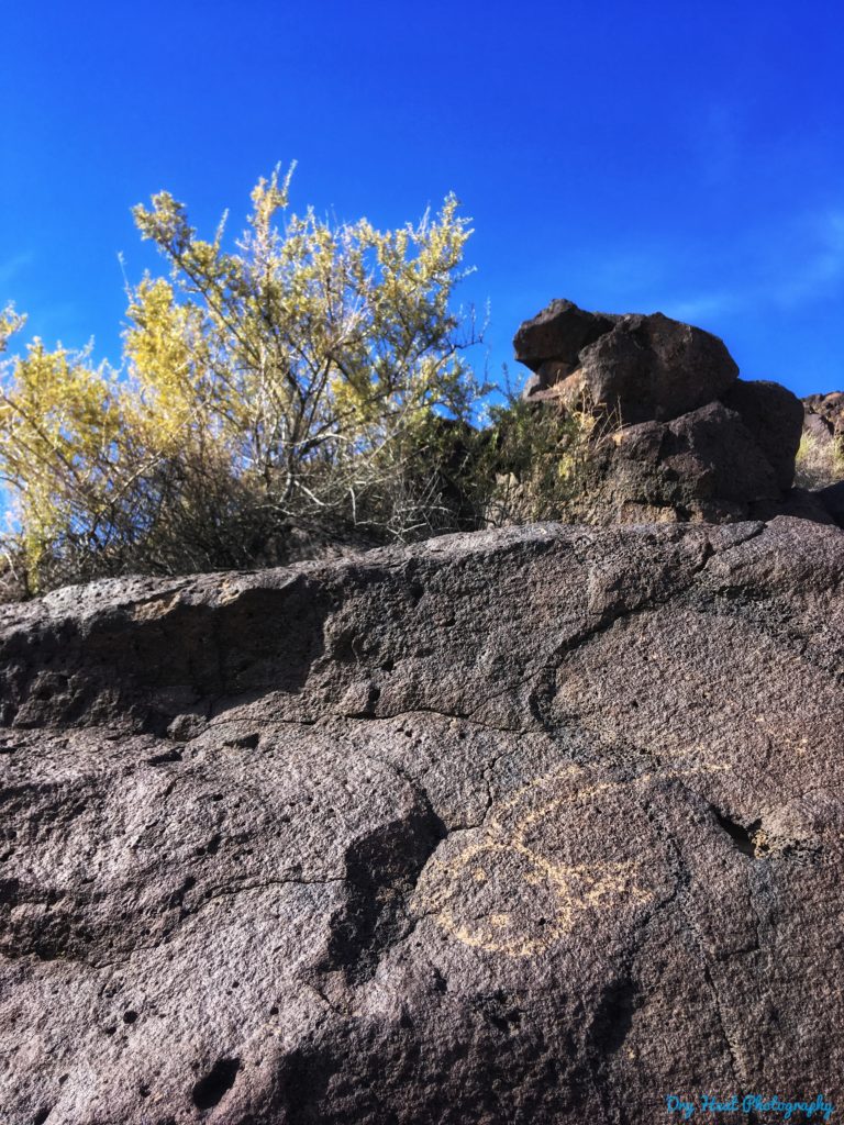 Most of the petroglyphs of Boca Negra Canyon are between 400 and 700 years old but some are as old as 1000 years. Boca Negra Canyon should be high on your list of "must see" places to visit in Albuquerque, New Mexico.