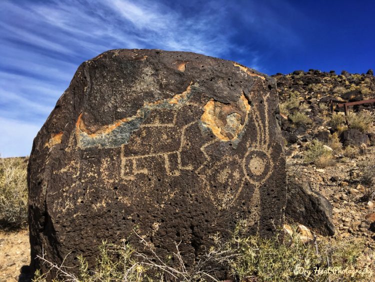 Most of the petroglyphs of Boca Negra Canyon are between 400 and 700 years old but some are as old as 1000 years. Boca Negra Canyon should be high on your list of "must see" places to visit in Albuquerque, New Mexico.