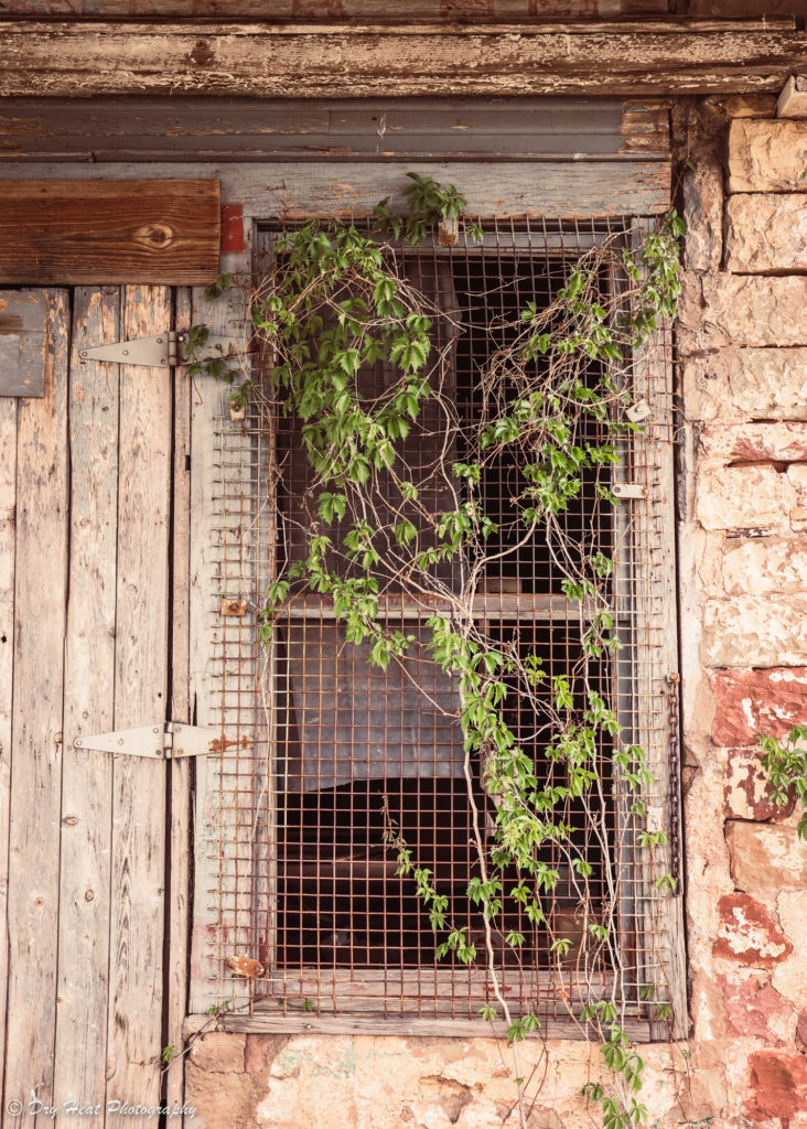 Vines grow in the window of an abandoned building in the Route 66 ghost town of Newkirk, New Mexico.