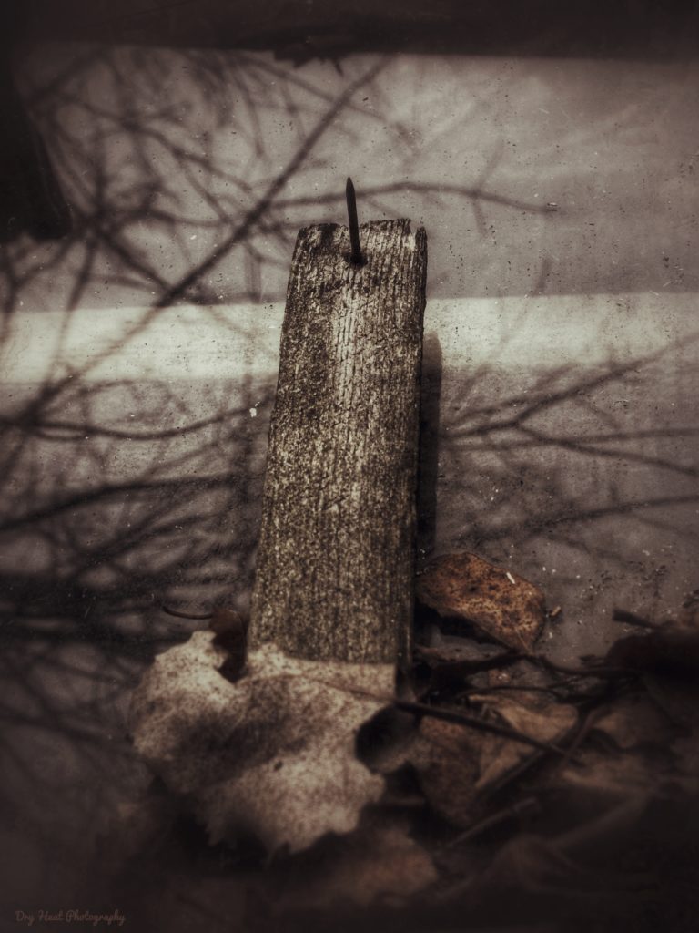 Abandoned house in Navarino, Wisconsin.