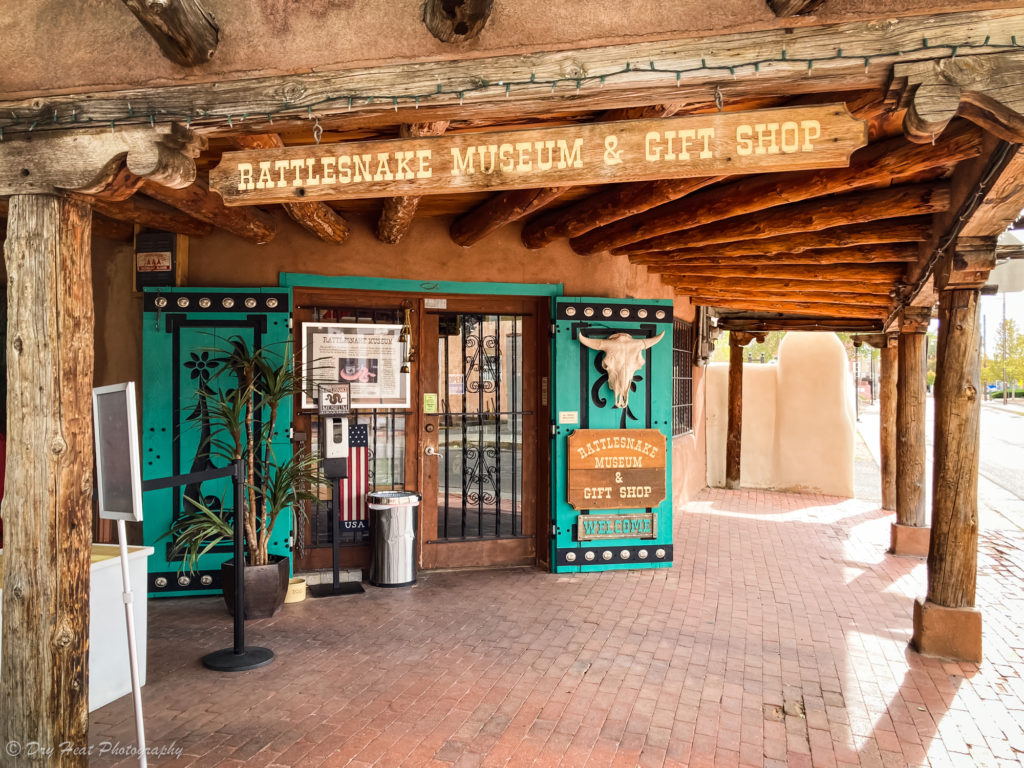 Rattlesnake Museum in Old Town. Albuquerque, New Mexico.