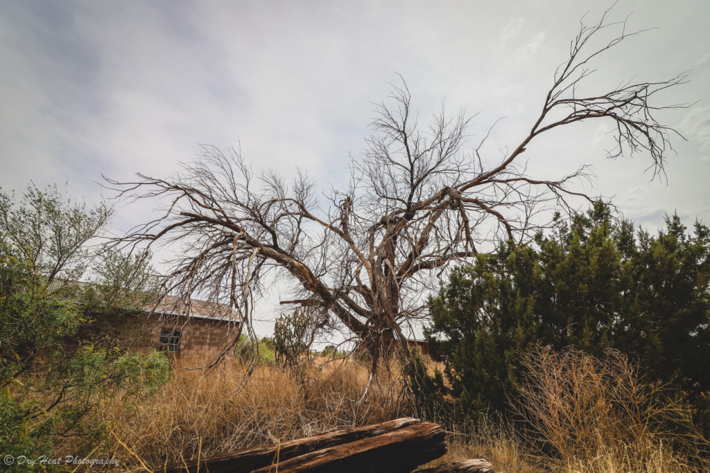 The route 66 ghost town of Cuervo, New Mexico.