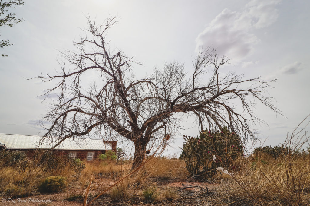 The route 66 ghost town of Cuervo, New Mexico.