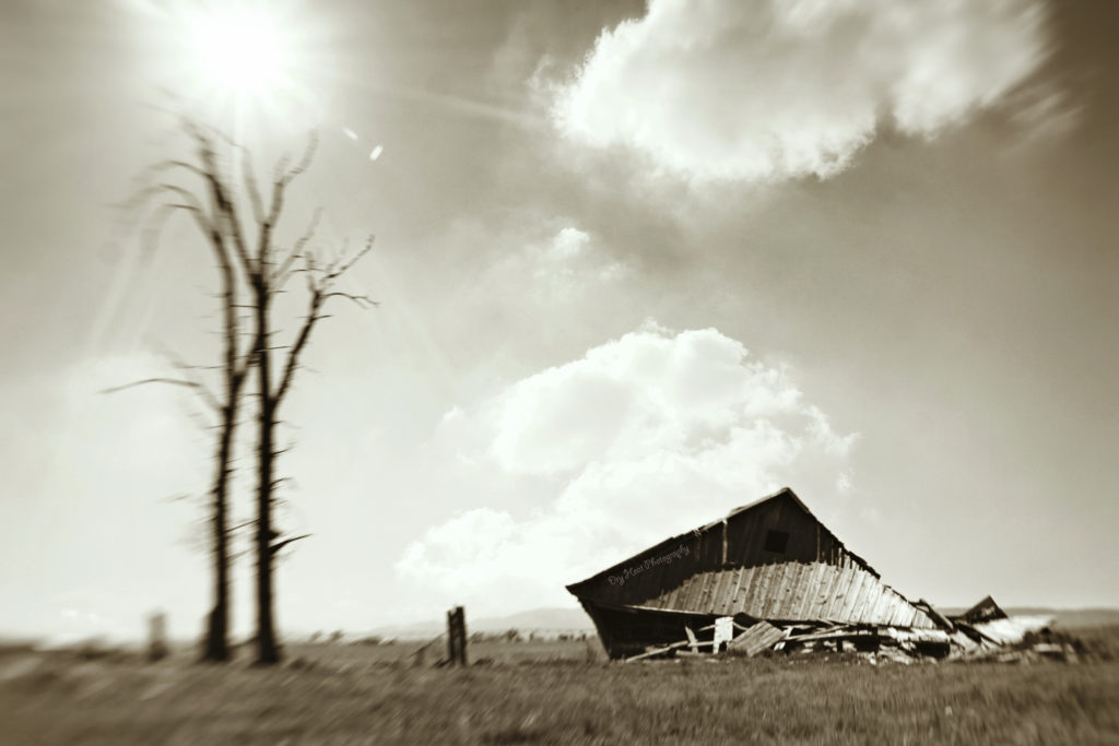 Old barn in Estancia, New Mexico.
