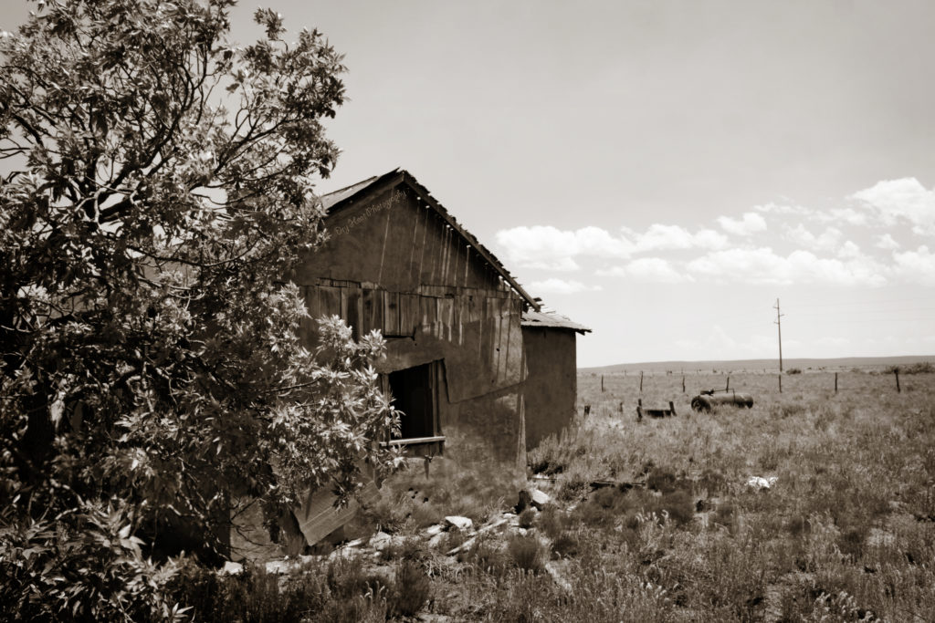 Abandoned house in Cedarvale, New Mexico.