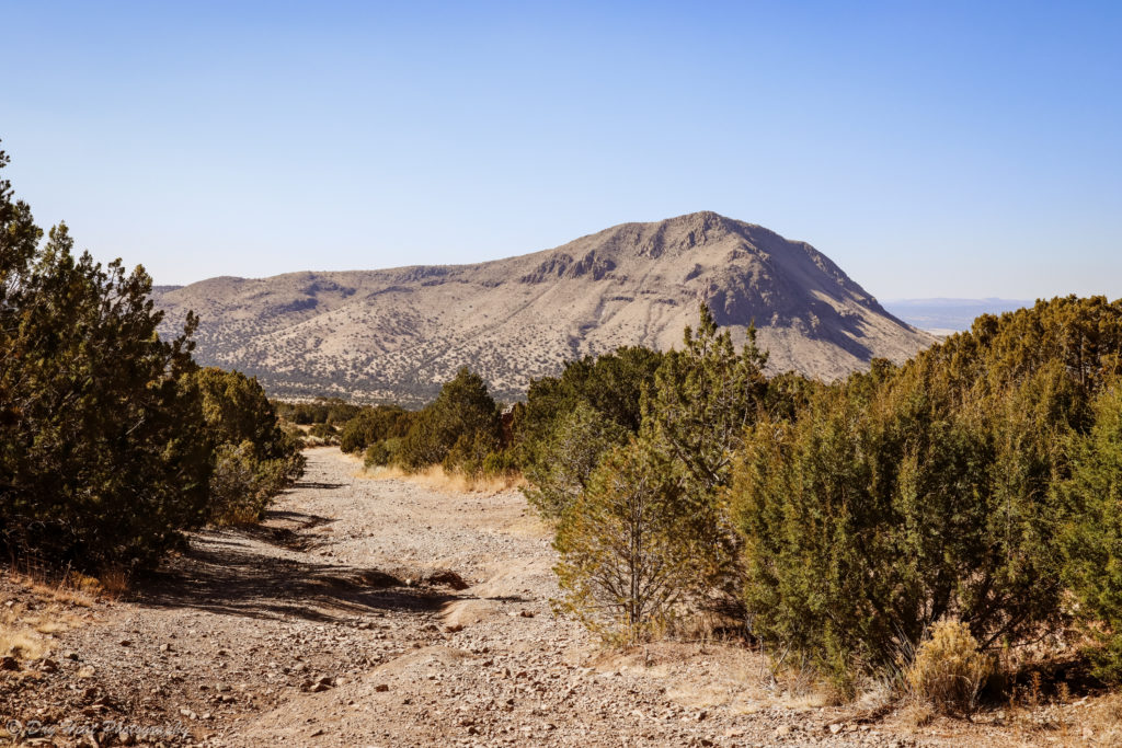 Kelly, New Mexico.